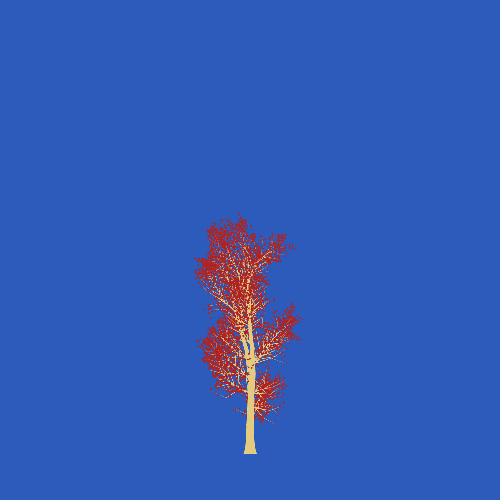 Treee