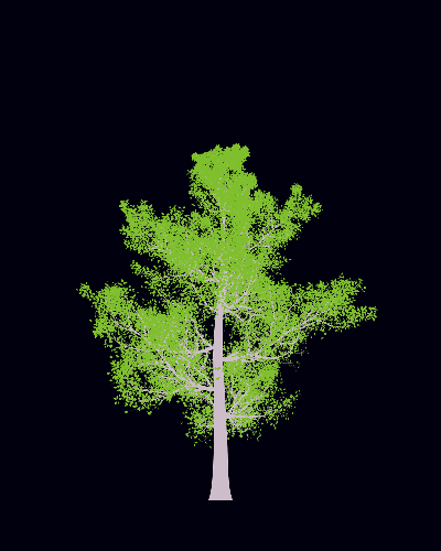 Treee