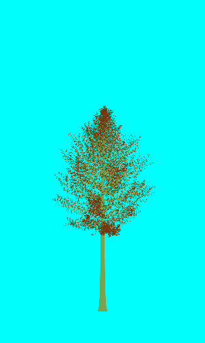 Treee