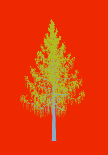 Treee