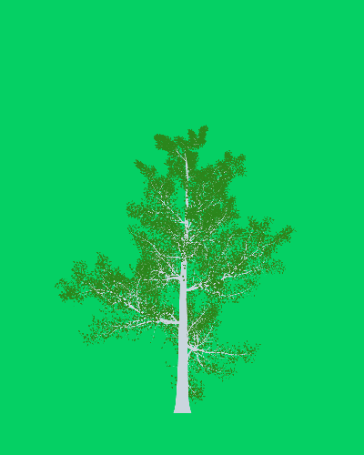 Treee