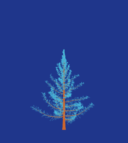 Treee