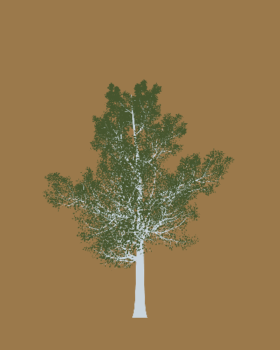 Treee