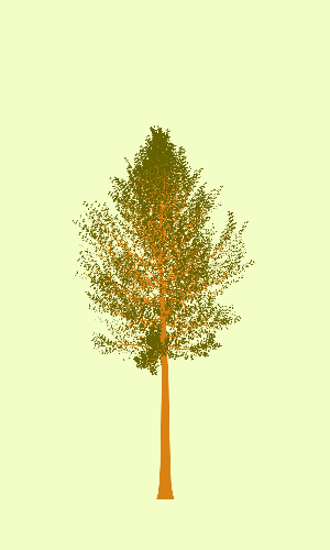 Treee