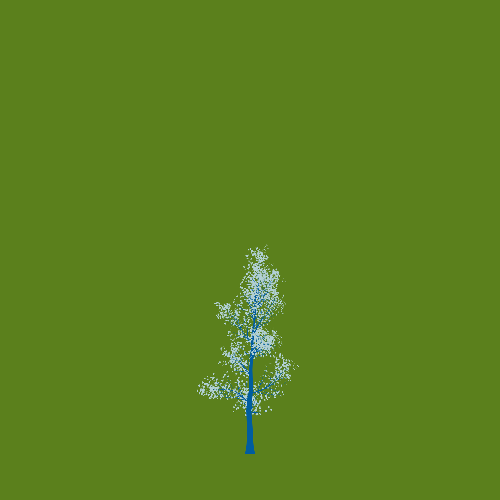 Treee