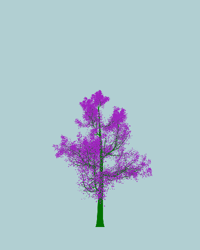 Treee