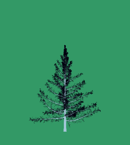 Treee
