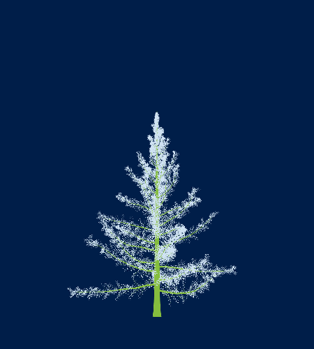 Treee