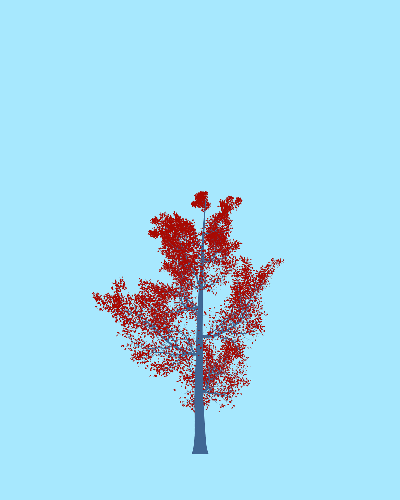 Treee