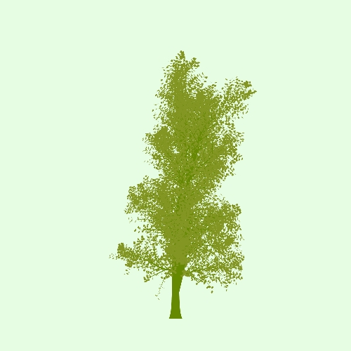 Treee