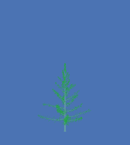 Treee