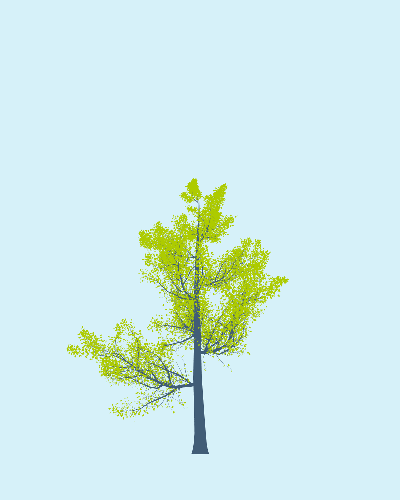 Treee