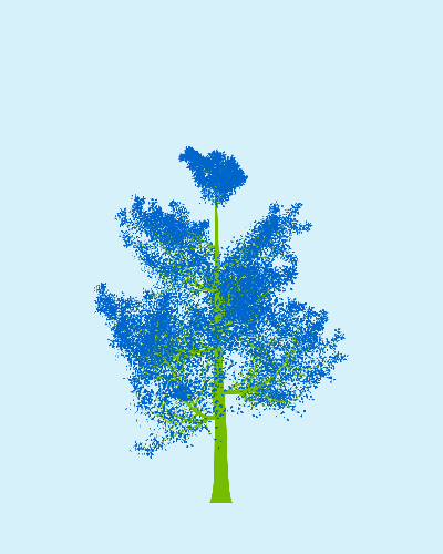 Treee