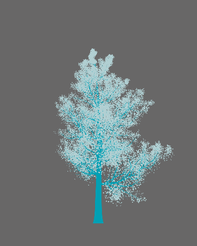 Treee