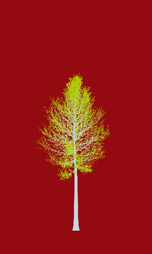 Treee