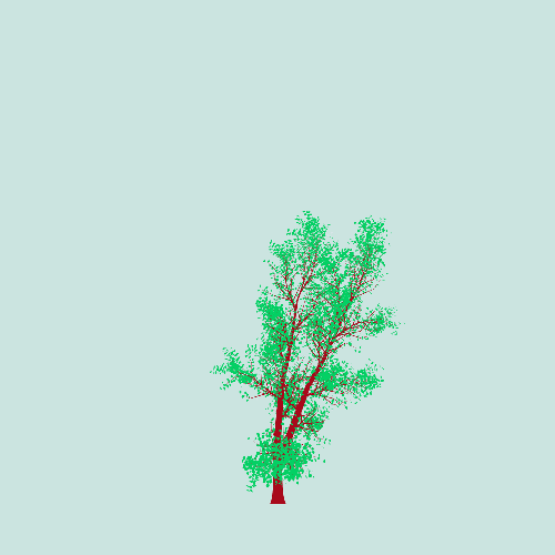 Treee