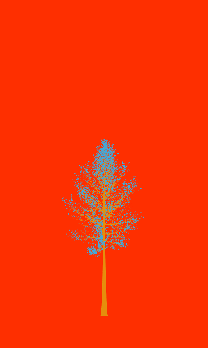 Treee