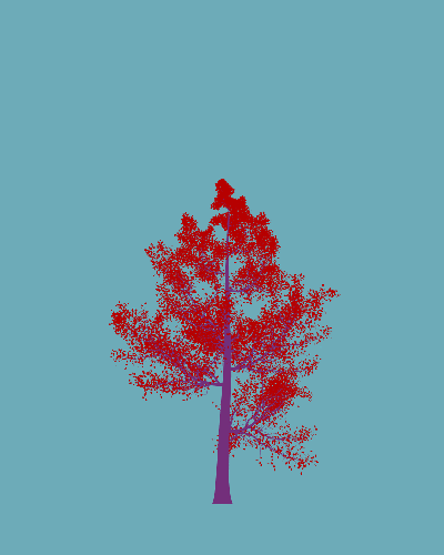 Treee