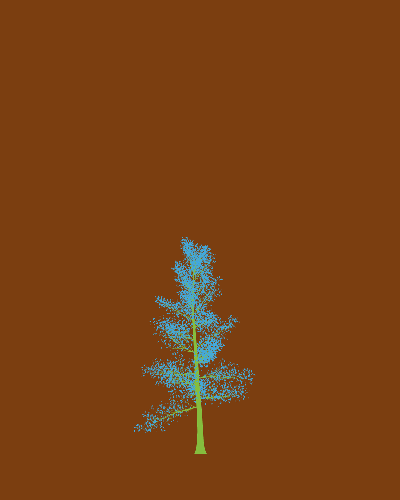 Treee