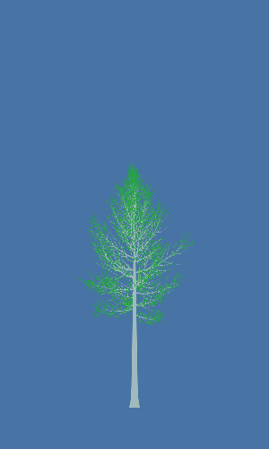 Treee
