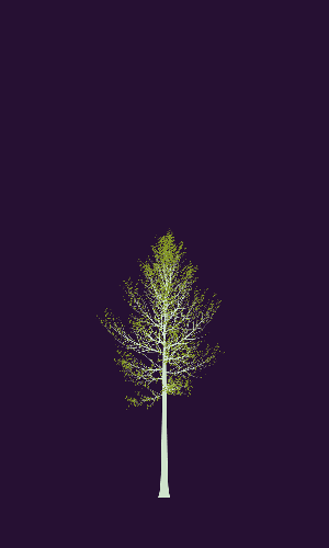 Treee