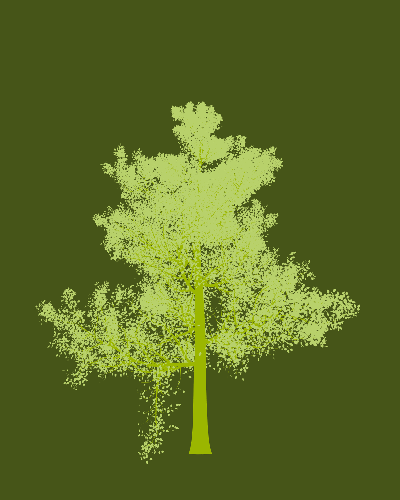 Treee