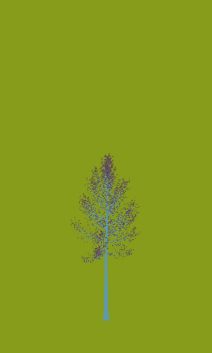 Treee