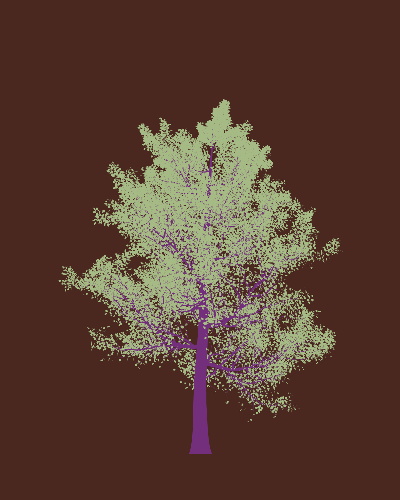 Treee
