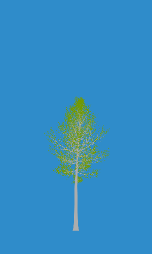 Treee
