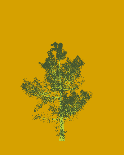 Treee
