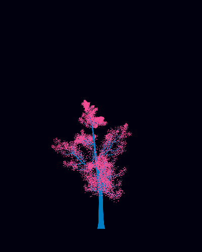 Treee
