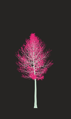 Treee