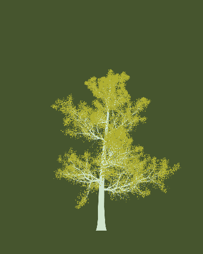 Treee