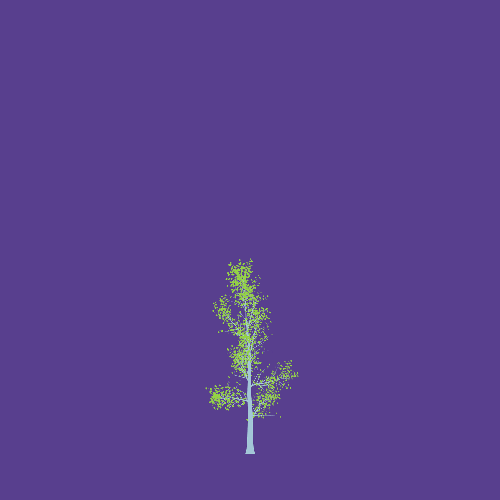Treee