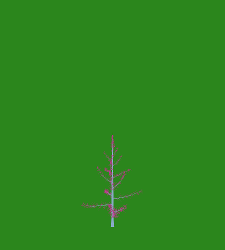 Treee