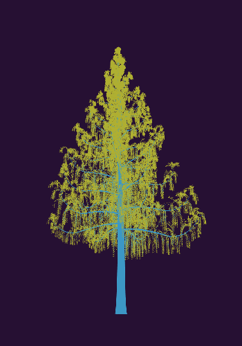 Treee