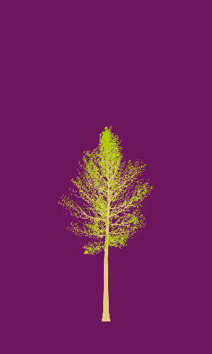 Treee