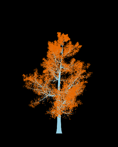 Treee