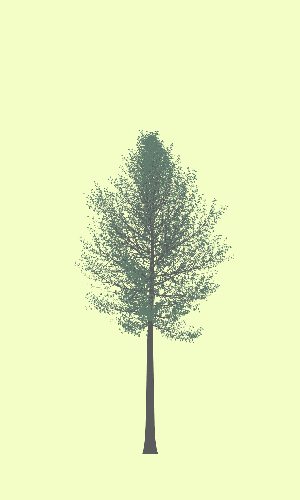 Treee