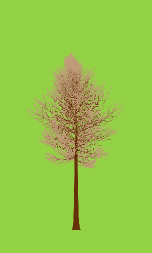 Treee