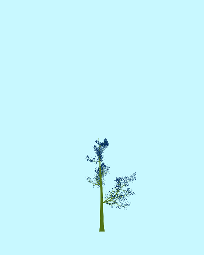 Treee