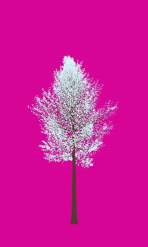 Treee