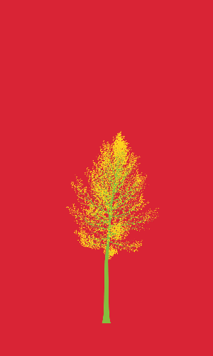 Treee