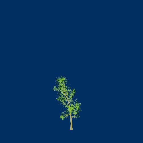 Treee