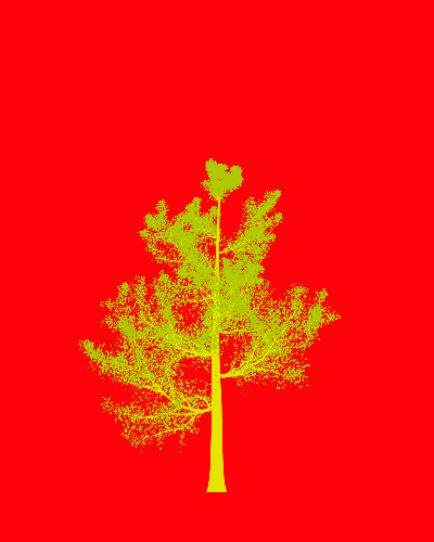 Treee