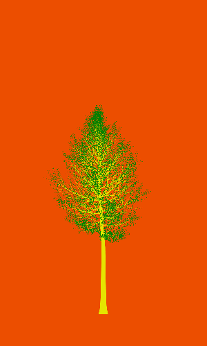 Treee