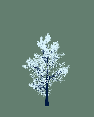 Treee