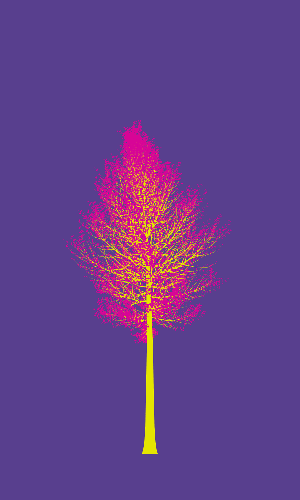 Treee