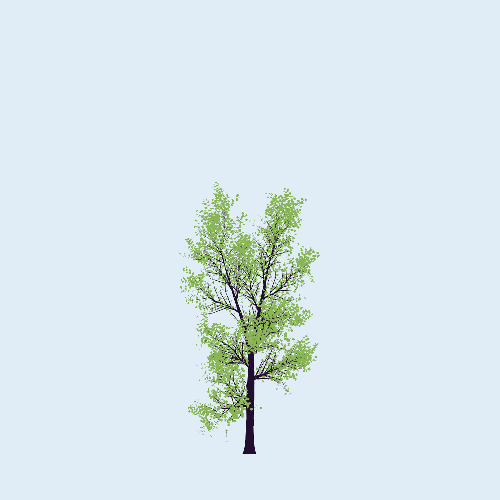Treee