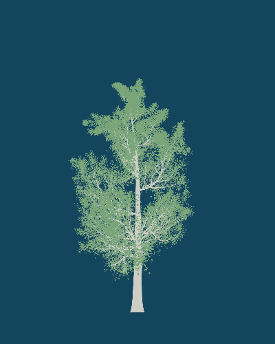 Treee